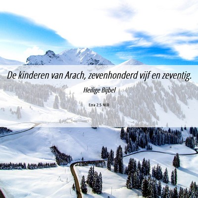 Picture 06 - Ezra 2:5 NLD - De kinderen van Arach, zevenhonderd vijf en - Bible Verse Picture