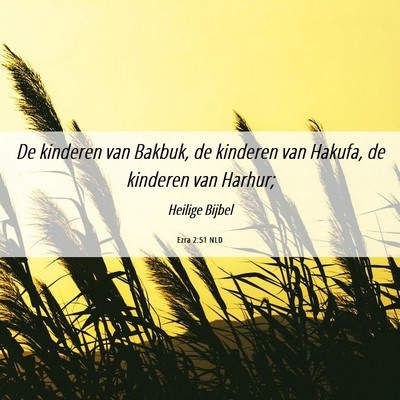 Picture 06 - Ezra 2:51 NLD - De kinderen van Bakbuk, de kinderen van Hakufa, - Bible Verse Picture