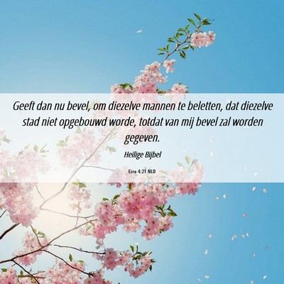 Picture 06 - Ezra 4:21 NLD - Geeft dan nu bevel, om diezelve mannen te - Bible Verse Picture