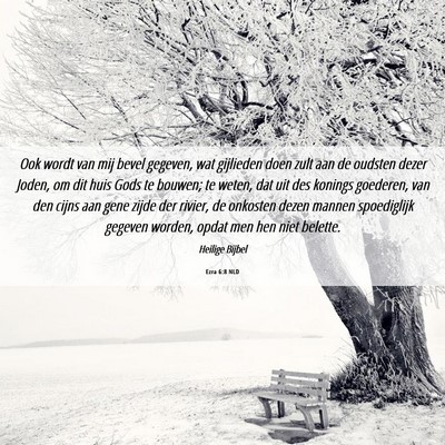 Picture 06 - Ezra 6:8 NLD - Ook wordt van mij bevel gegeven, wat gijlieden - Bible Verse Picture