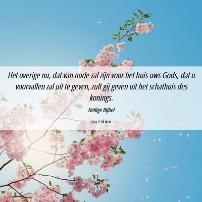Picture 06 - Ezra 7:20 NLD - Het overige nu, dat van node zal zijn voor het - Bible Verse Picture