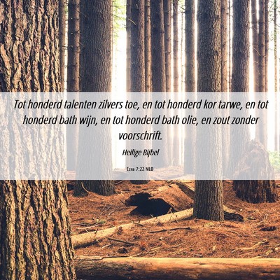 Picture 06 - Ezra 7:22 NLD - Tot honderd talenten zilvers toe, en tot honderd - Bible Verse Picture