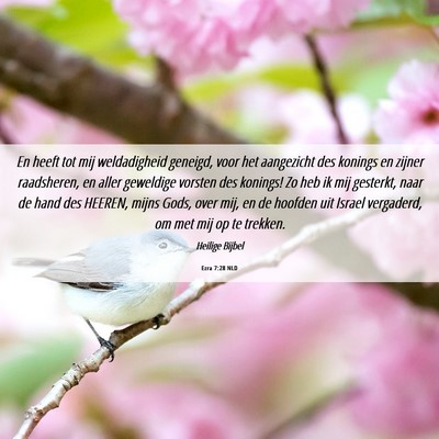 Picture 06 - Ezra 7:28 NLD - En heeft tot mij weldadigheid geneigd, voor het - Bible Verse Picture