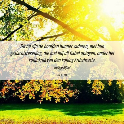 Picture 06 - Ezra 8:1 NLD - Dit nu zijn de hoofden hunner vaderen, met hun - Bible Verse Picture