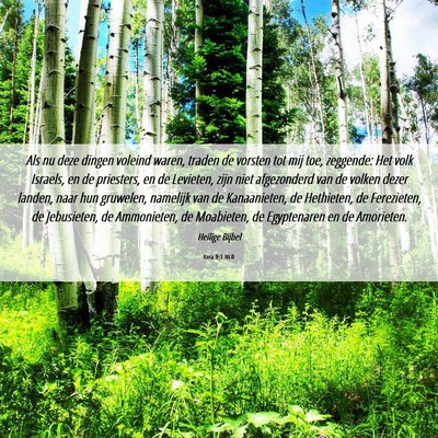 Picture 06 - Ezra 9:1 NLD - Als nu deze dingen voleind waren, traden de - Bible Verse Picture