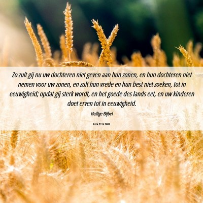 Picture 06 - Ezra 9:12 NLD - Zo zult gij nu uw dochteren niet geven aan hun - Bible Verse Picture