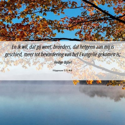 Picture 06 - Filippenzen 1:12 NLD - En ik wil, dat gij weet, broeders, dat hetgeen - Bible Verse Picture