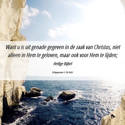 Picture 06 - Filippenzen 1:29 NLD - Want u is uit genade gegeven in de zaak van - Bible Verse Picture