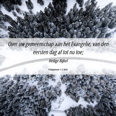 Picture 06 - Filippenzen 1:5 NLD - Over uw gemeenschap aan het Evangelie, van den - Bible Verse Picture