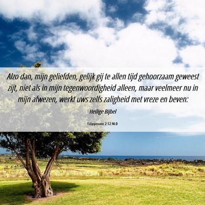 Picture 06 - Filippenzen 2:12 NLD - Alzo dan, mijn geliefden, gelijk gij te allen - Bible Verse Picture