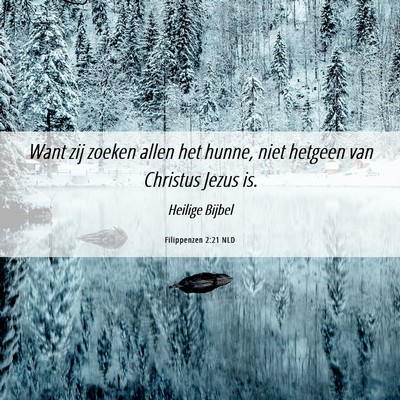 Picture 06 - Filippenzen 2:21 NLD - Want zij zoeken allen het hunne, niet hetgeen van - Bible Verse Picture