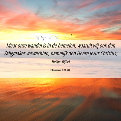 Picture 06 - Filippenzen 3:20 NLD - Maar onze wandel is in de hemelen, waaruit wij - Bible Verse Picture