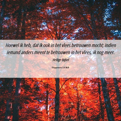 Picture 06 - Filippenzen 3:4 NLD - Hoewel ik heb, dat ik ook in het vlees betrouwen - Bible Verse Picture