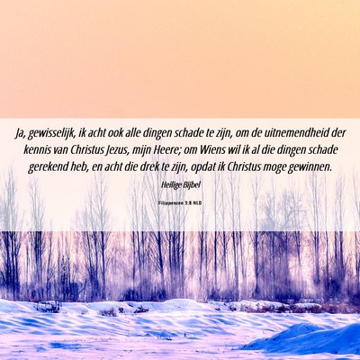 Picture 06 - Filippenzen 3:8 NLD - Ja, gewisselijk, ik acht ook alle dingen schade - Bible Verse Picture