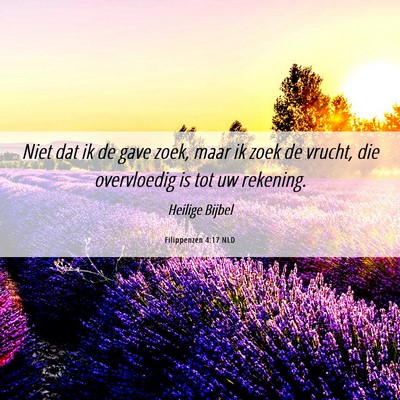 Picture 06 - Filippenzen 4:17 NLD - Niet dat ik de gave zoek, maar ik zoek de vrucht, - Bible Verse Picture