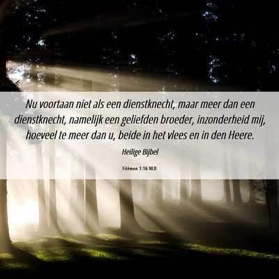 Picture 06 - Filémon 1:16 NLD - Nu voortaan niet als een dienstknecht, maar meer - Bible Verse Picture