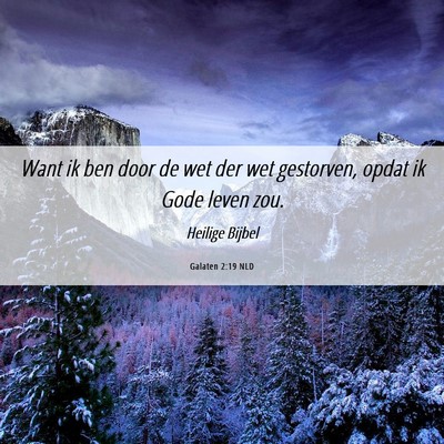 Picture 06 - Galaten 2:19 NLD - Want ik ben door de wet der wet gestorven, opdat - Bible Verse Picture