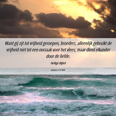 Picture 06 - Galaten 5:13 NLD - Want gij zijt tot vrijheid geroepen, broeders, - Bible Verse Picture
