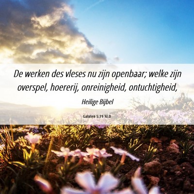 Picture 06 - Galaten 5:19 NLD - De werken des vleses nu zijn openbaar; welke zijn - Bible Verse Picture
