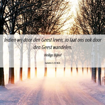 Picture 06 - Galaten 5:25 NLD - Indien wij door den Geest leven, zo laat ons ook - Bible Verse Picture