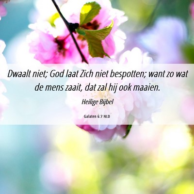 Picture 06 - Galaten 6:7 NLD - Dwaalt niet; God laat Zich niet bespotten; want - Bible Verse Picture