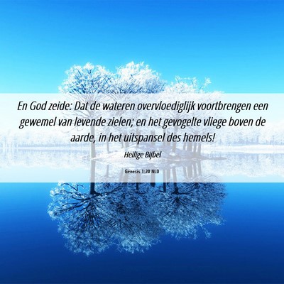 Picture 06 - Genesis 1:20 NLD - En God zeide: Dat de wateren overvloediglijk - Bible Verse Picture