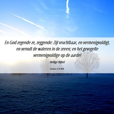 Picture 06 - Genesis 1:22 NLD - En God zegende ze, zeggende: Zijt vruchtbaar, en - Bible Verse Picture