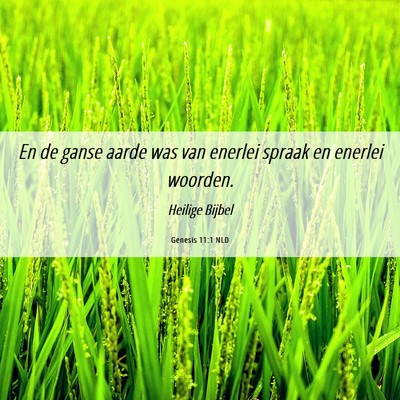 Picture 06 - Genesis 11:1 NLD - En de ganse aarde was van enerlei spraak en - Bible Verse Picture