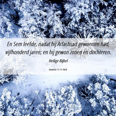Picture 06 - Genesis 11:11 NLD - En Sem leefde, nadat hij Arfachsad gewonnen had, - Bible Verse Picture