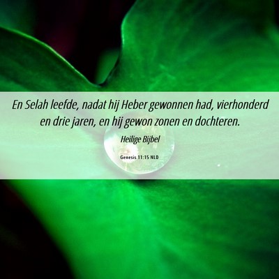 Picture 06 - Genesis 11:15 NLD - En Selah leefde, nadat hij Heber gewonnen had, - Bible Verse Picture