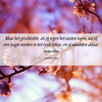 Picture 06 - Genesis 11:2 NLD - Maar het geschiedde, als zij tegen het oosten - Bible Verse Picture