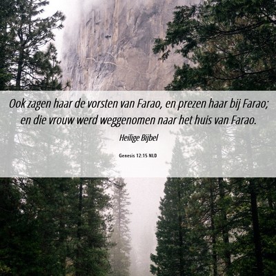 Picture 06 - Genesis 12:15 NLD - Ook zagen haar de vorsten van Farao, en prezen - Bible Verse Picture
