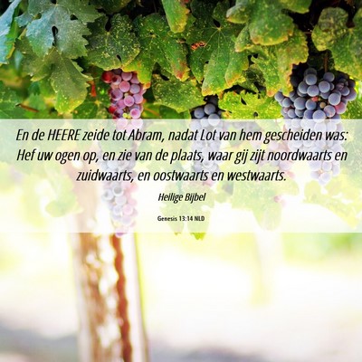 Picture 06 - Genesis 13:14 NLD - En de HEERE zeide tot Abram, nadat Lot van hem - Bible Verse Picture
