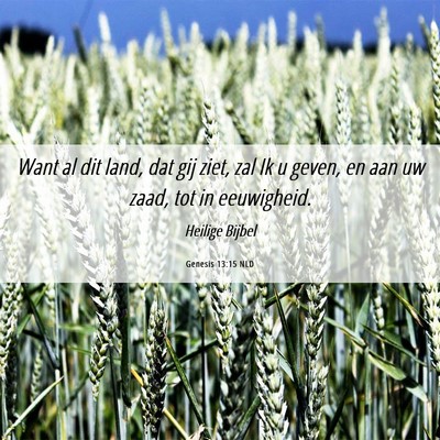 Picture 06 - Genesis 13:15 NLD - Want al dit land, dat gij ziet, zal Ik u geven, - Bible Verse Picture