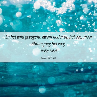 Picture 06 - Genesis 15:11 NLD - En het wild gevogelte kwam neder op het aas; maar - Bible Verse Picture