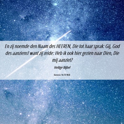 Picture 06 - Genesis 16:13 NLD - En zij noemde den Naam des HEEREN, Die tot haar - Bible Verse Picture