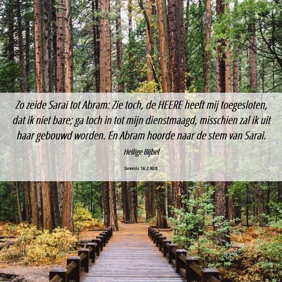Picture 06 - Genesis 16:2 NLD - Zo zeide Sarai tot Abram: Zie toch, de HEERE - Bible Verse Picture