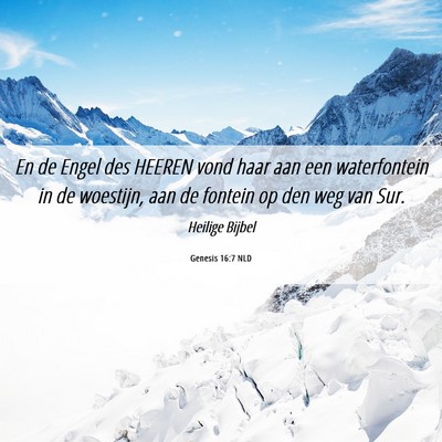 Picture 06 - Genesis 16:7 NLD - En de Engel des HEEREN vond haar aan een - Bible Verse Picture
