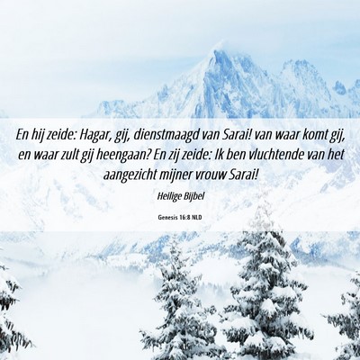 Picture 06 - Genesis 16:8 NLD - En hij zeide: Hagar, gij, dienstmaagd van Sarai! - Bible Verse Picture