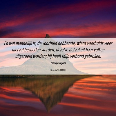 Picture 06 - Genesis 17:14 NLD - En wat mannelijk is, de voorhuid hebbende, wiens - Bible Verse Picture
