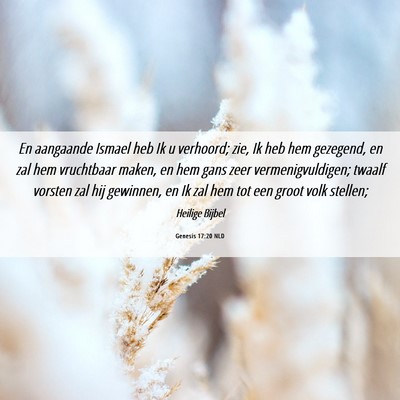 Picture 06 - Genesis 17:20 NLD - En aangaande Ismael heb Ik u verhoord; zie, Ik - Bible Verse Picture