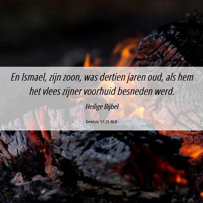 Picture 06 - Genesis 17:25 NLD - En Ismael, zijn zoon, was dertien jaren oud, als - Bible Verse Picture