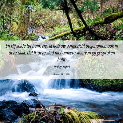 Picture 06 - Genesis 19:21 NLD - En Hij zeide tot hem: Zie, Ik heb uw aangezicht - Bible Verse Picture