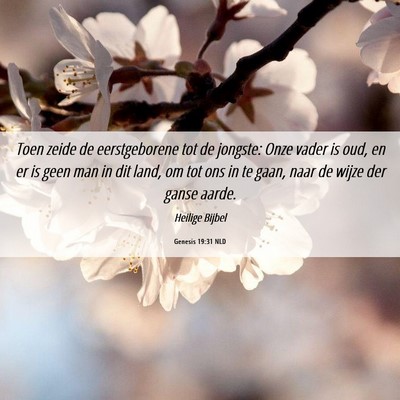Picture 06 - Genesis 19:31 NLD - Toen zeide de eerstgeborene tot de jongste: Onze - Bible Verse Picture