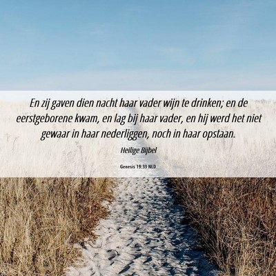 Picture 06 - Genesis 19:33 NLD - En zij gaven dien nacht haar vader wijn te - Bible Verse Picture