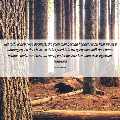 Picture 06 - Genesis 19:8 NLD - Ziet toch, ik heb twee dochters, die geen man - Bible Verse Picture