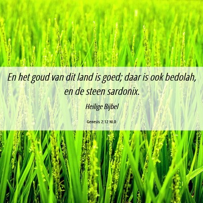 Picture 06 - Genesis 2:12 NLD - En het goud van dit land is goed; daar is ook - Bible Verse Picture