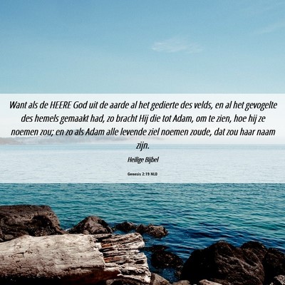 Picture 06 - Genesis 2:19 NLD - Want als de HEERE God uit de aarde al het - Bible Verse Picture