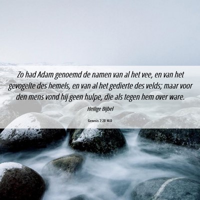Picture 06 - Genesis 2:20 NLD - Zo had Adam genoemd de namen van al het vee, en - Bible Verse Picture