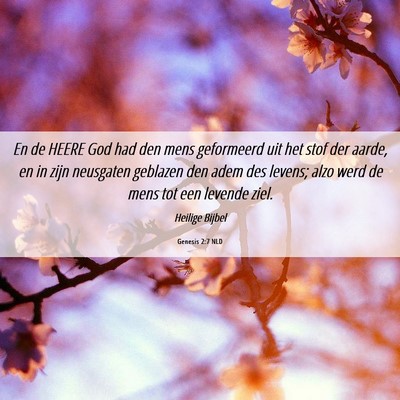 Picture 06 - Genesis 2:7 NLD - En de HEERE God had den mens geformeerd uit het - Bible Verse Picture